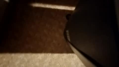 cumwith_me80 online show from April 8, 2026, 9:31 am