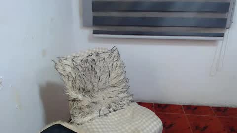 Xyrien online show from January 10, 2026, 2:13 am