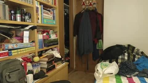 Snapshot of curiosillo1983 chatting on April 19, 2026, 10:45 pm curiosillo1983 online show from April 19, 2026, 10:45 pm