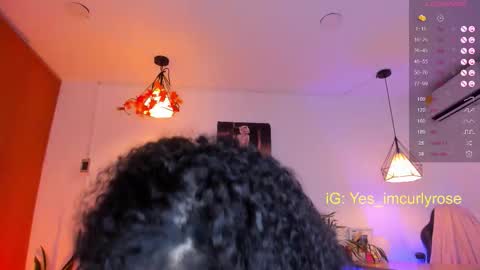 Rose online show from November 12, 2025, 10:52 pm