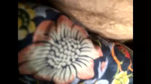 Steve online show from January 20, 2025, 7:04 am