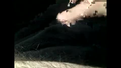 Steve online show from February 11, 2025, 5:50 pm