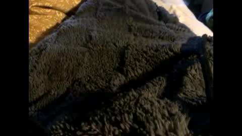 Steve online show from March 2, 2025, 12:54 pm