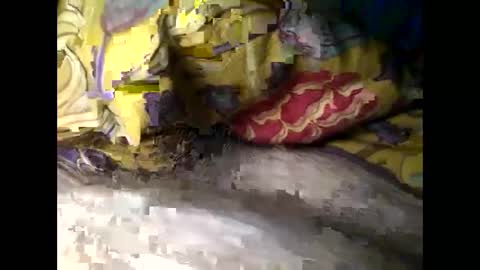 Steve online show from March 4, 2025, 6:37 am