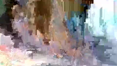 cute_savanna online show from March 10, 2026, 5:01 am