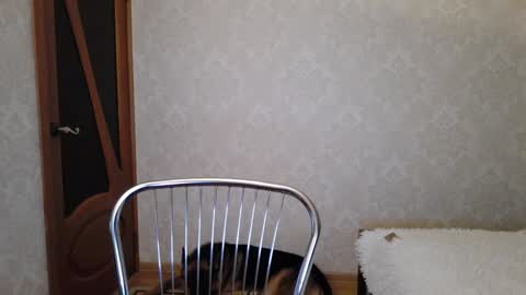 Snapshot of cute_strawberry_ chatting on December 9, 2024, 4:45 am cute_strawberry_ online show from December 9, 2024, 4:45 am