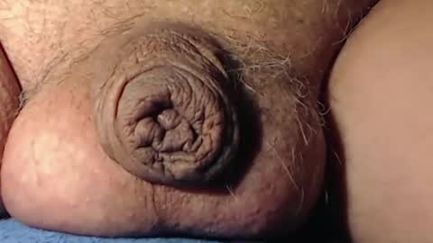 Snapshot of cute_stud2855 chatting on January 15, 2026, 1:16 pm cute_stud2855 online show from January 15, 2026, 1:16 pm