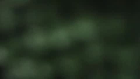 Snapshot of cuteeboy chatting on October 18, 2025, 8:09 pm cuteeboy online show from October 18, 2025, 8:09 pm