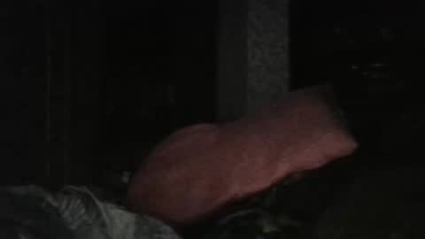 cutekattie online show from February 25, 2026, 6:01 am