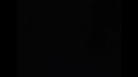 Neil Taylor online show from November 20, 2025, 6:57 am