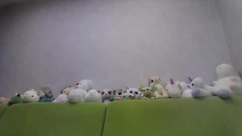 Chloe online show from October 10, 2025, 12:53 am