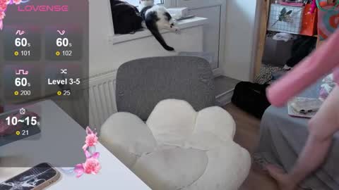 Alice  online show from October 22, 2025, 10:04 am