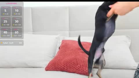 Eva online show from April 18, 2026, 7:07 pm