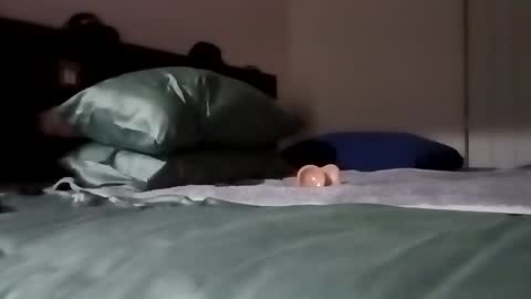 Kasey Xdresser online show from February 6, 2026, 4:54 pm