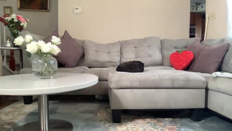 Snapshot of daddy_daycare_ chatting on February 22, 2026, 5:55 pm Belle Email daddydaycarecb online show from February 22, 2026, 5:55 pm