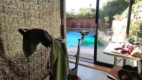 bas online show from November 9, 2025, 3:43 pm