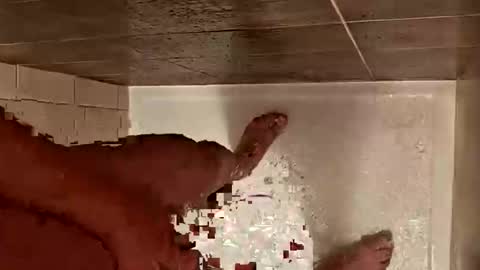 LetsHaveFunTogether online show from October 29, 2025, 7:10 am