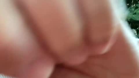 daddydick926 online show from September 11, 2025, 1:22 pm