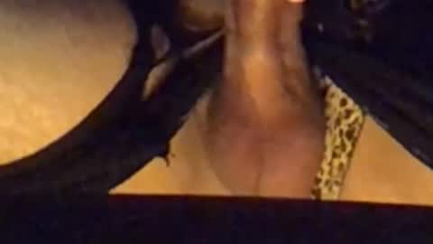 daddypervbuttprincess online show from September 13, 2025, 2:50 pm