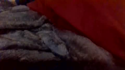 Snapshot of daddywhite88 chatting on January 14, 2026, 12:38 am daddywhite88 online show from January 14, 2026, 12:38 am