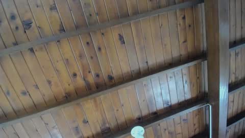 dafne_hillss online show from September 27, 2025, 2:00 pm