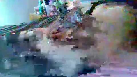 Snapshot of dafo1980 chatting on February 22, 2026, 2:59 pm dafo1980 online show from February 22, 2026, 2:59 pm