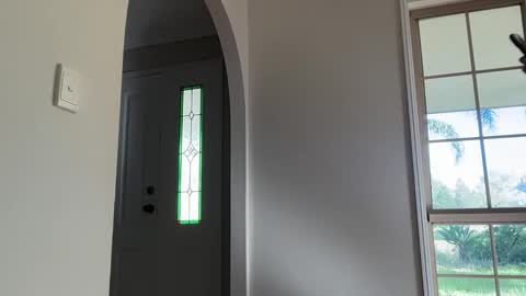 Daisy online show from March 15, 2026, 10:05 pm