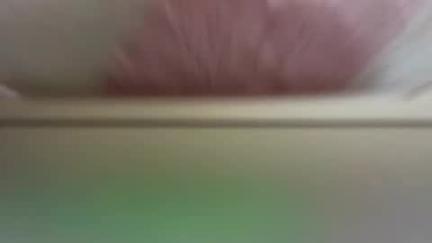 Daisy online show from March 19, 2026, 11:36 am