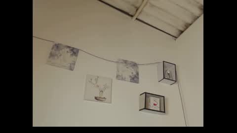 Daisy online show from February 10, 2025, 1:14 am