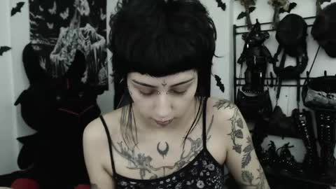 Snapshot of dakota_krall_ chatting on May 31, 2026, 3:47 am dakota online show from May 31, 2026, 3:47 am