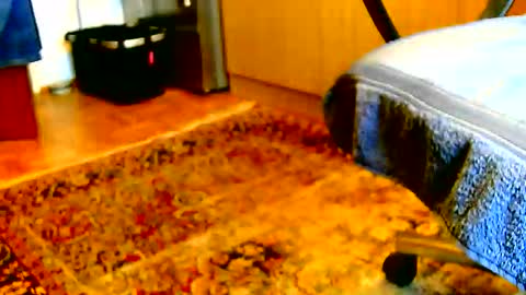 Snapshot of dammerl6 chatting on December 2, 2025, 1:17 pm Dammerl online show from December 2, 2025, 1:17 pm