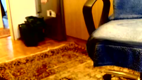 Dammerl online show from April 6, 2026, 5:36 pm