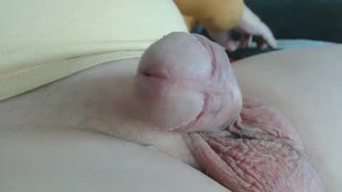 Damocles online show from October 20, 2025, 12:49 pm