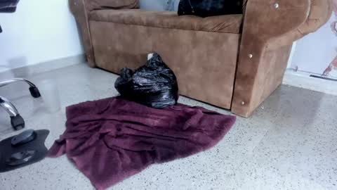 Danaa Rey online show from February 5, 2025, 2:26 pm