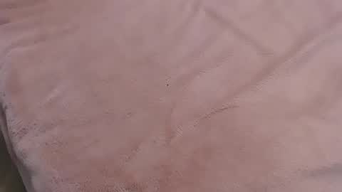  Danna Lovense is activeThere are legends that in this room all your wishes can come true  Private is Open online show from January 11, 2025, 9:57 pm