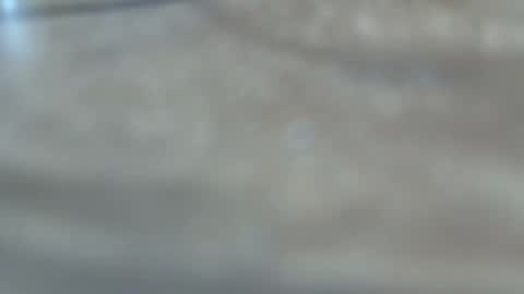 dancewhenyoucan9 online show from December 22, 2025, 10:51 pm