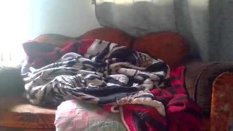 dani9821569006 online show from March 25, 2026, 5:08 pm