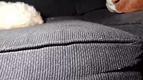 daniel_k69 online show from February 19, 2025, 2:23 pm