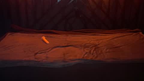 danielareign online show from December 20, 2025, 7:26 am