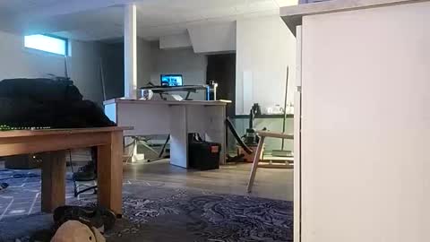 danimal5000 online show from November 17, 2025, 3:07 pm