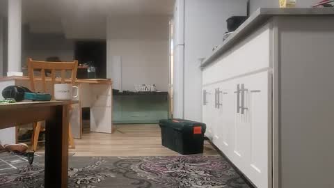 danimal5000 online show from November 18, 2025, 4:00 pm