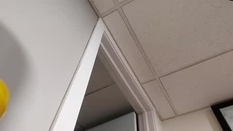 danimal5000 online show from March 5, 2026, 7:10 pm