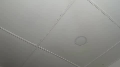 dannaberlin_0 online show from February 12, 2025, 12:22 pm