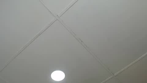 dannaberlin_0 online show from March 8, 2025, 12:09 pm