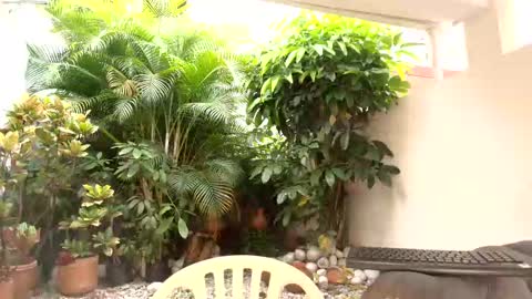 Dannamunoz130 online show from October 12, 2025, 12:48 pm