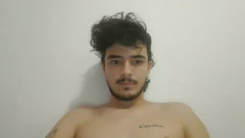 danni4_20 online show from February 8, 2025, 11:55 am