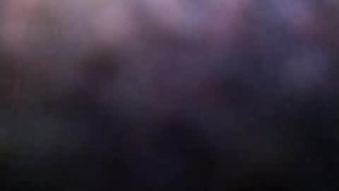 dannowisc online show from February 23, 2026, 2:20 am