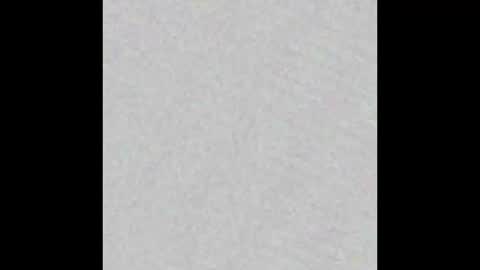 Dannyaa online show from January 19, 2026, 11:36 am