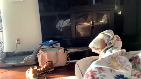 dannyboy621 online show from November 2, 2025, 1:24 pm