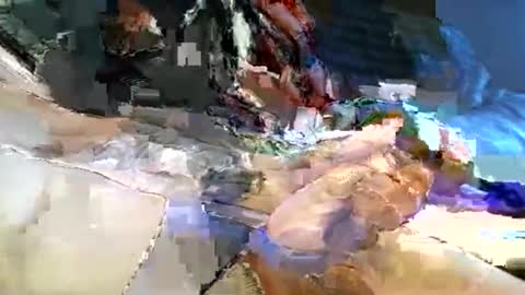 dannytabb1 online show from November 11, 2025, 5:40 am